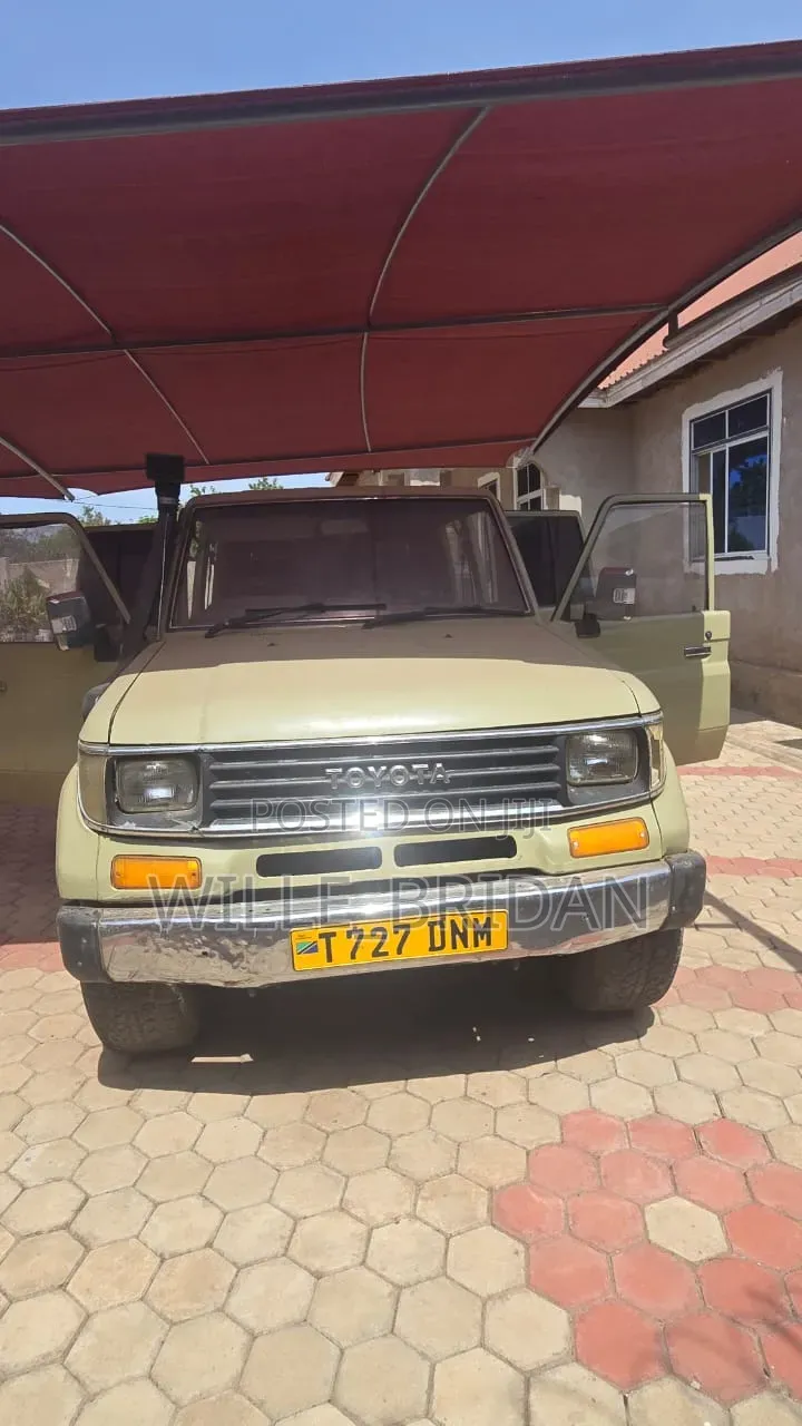 Toyota Land Cruiser 2003 Brown