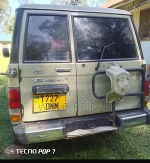 Toyota Land Cruiser 2003 Brown