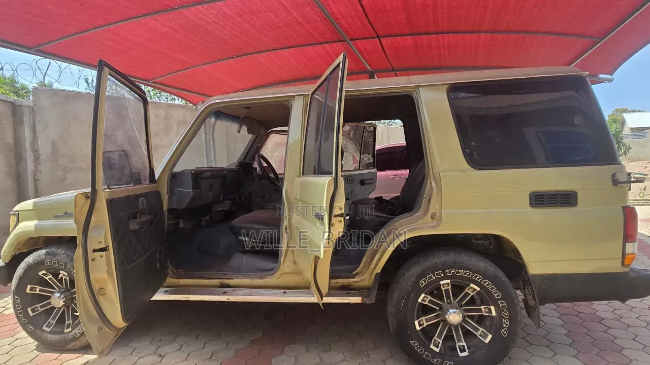 Toyota Land Cruiser 2003 Brown