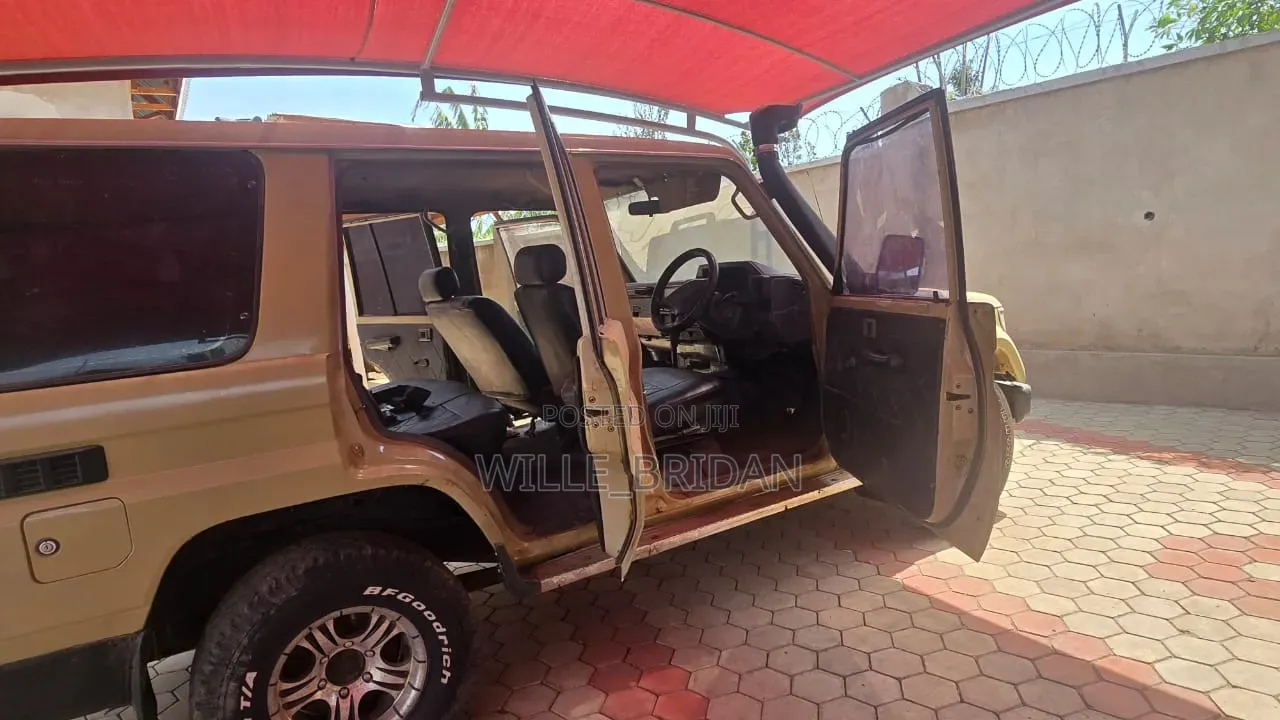 Toyota Land Cruiser 2003 Brown