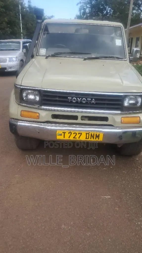 Toyota Land Cruiser 2003 Brown