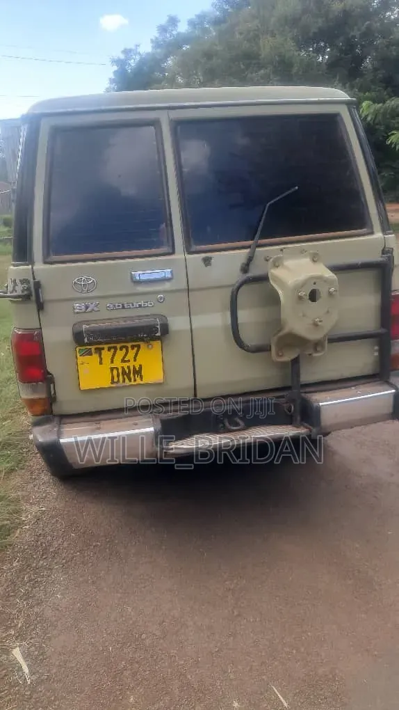 Toyota Land Cruiser 2003 Brown