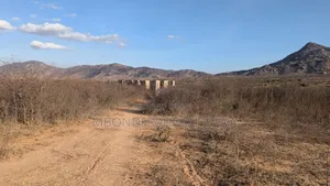 Kiwanja Kizuri Dodoma