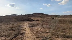 Kiwanja Kizuri Dodoma
