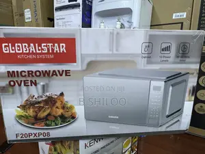 Globalstar Digital Microwave 20l