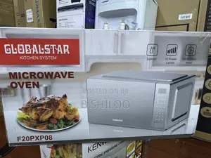 Globalstar Digital Microwave 20l