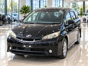 Toyota Wish 2010 Blue