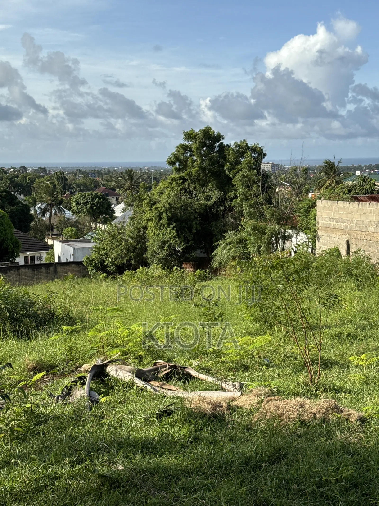 Salasala Kilimahewa