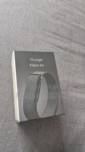Google Fitbit Air