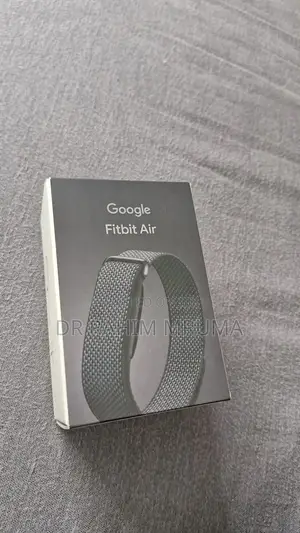 Google Fitbit Air