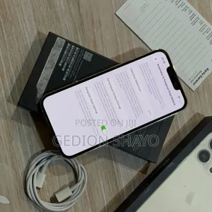 Apple iPhone 13 Pro 256 GB White