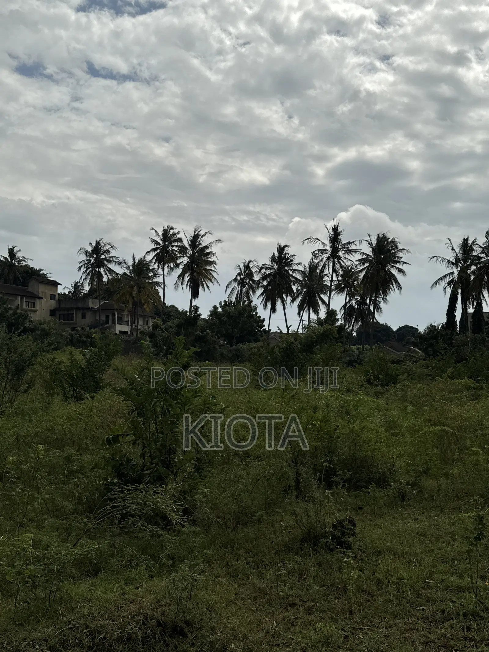 Mbezi Beach Rafia