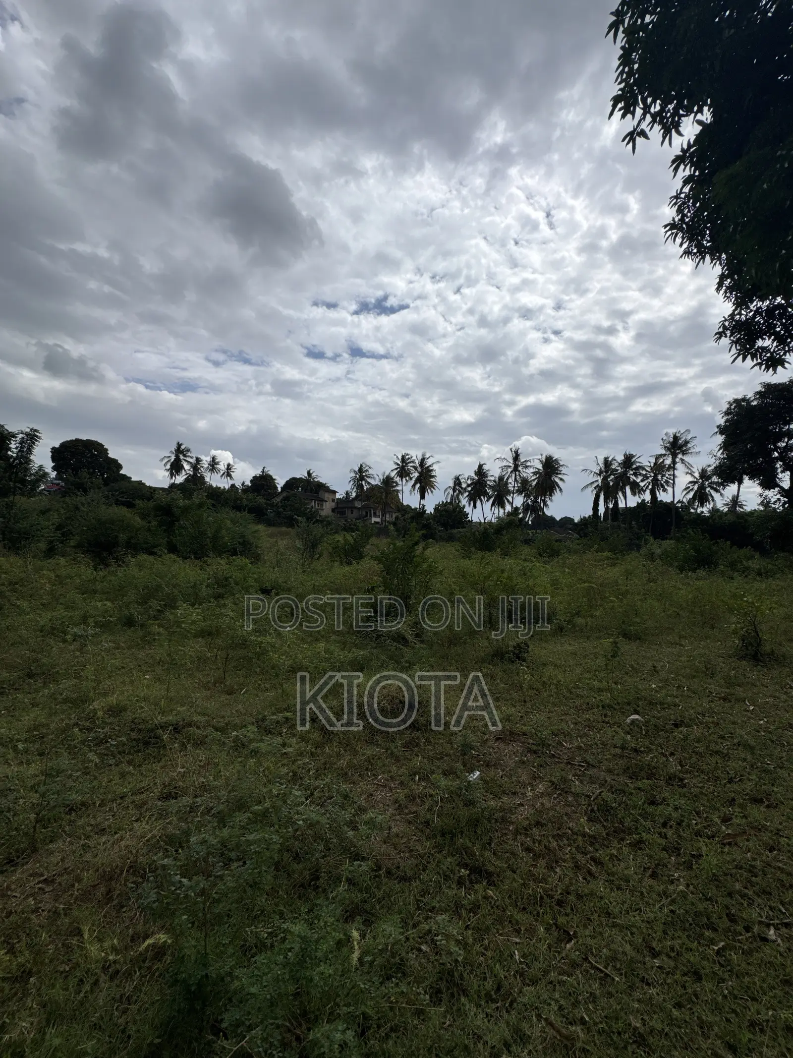 Mbezi Beach Rafia