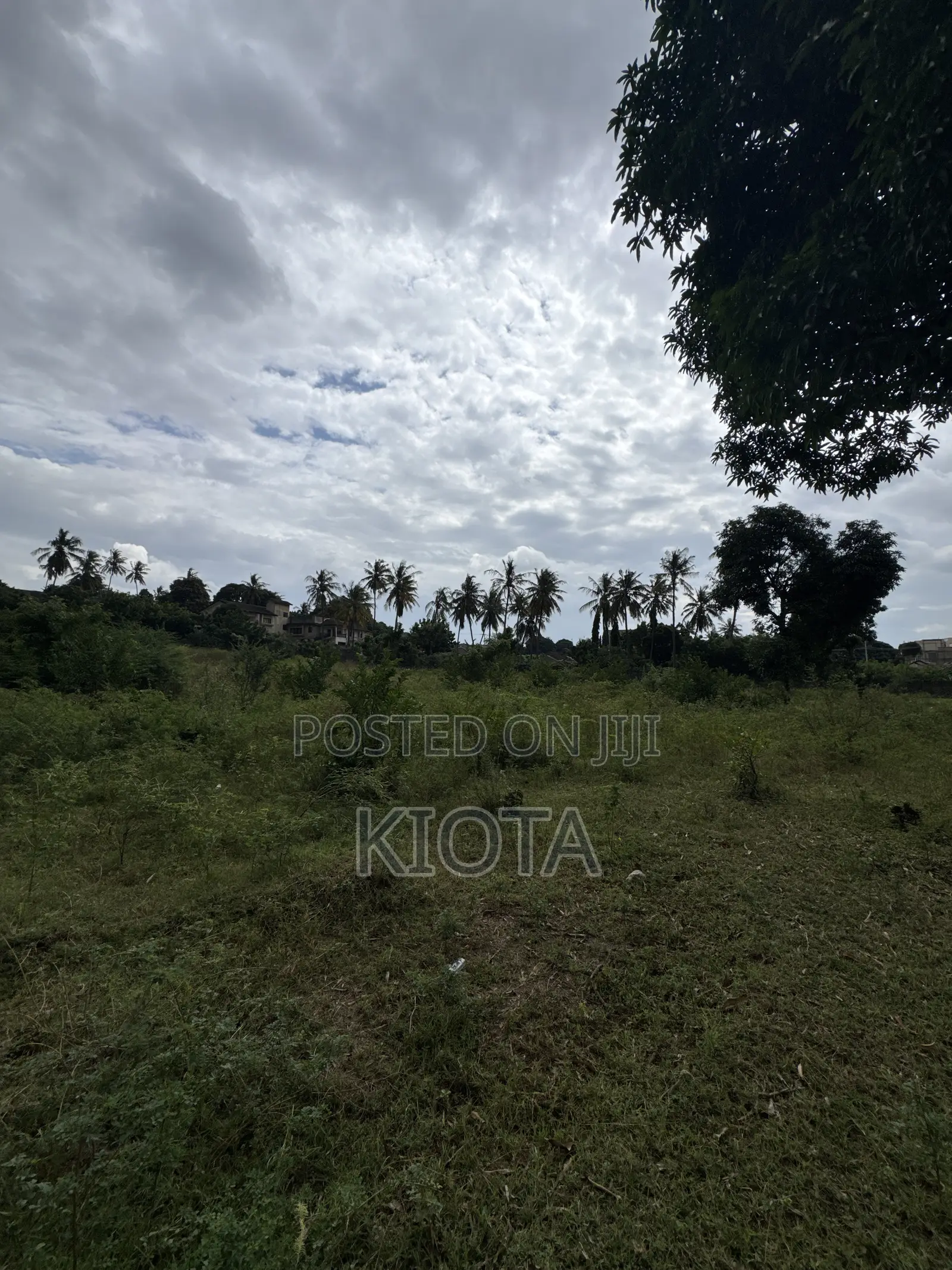 Mbezi Beach Rafia