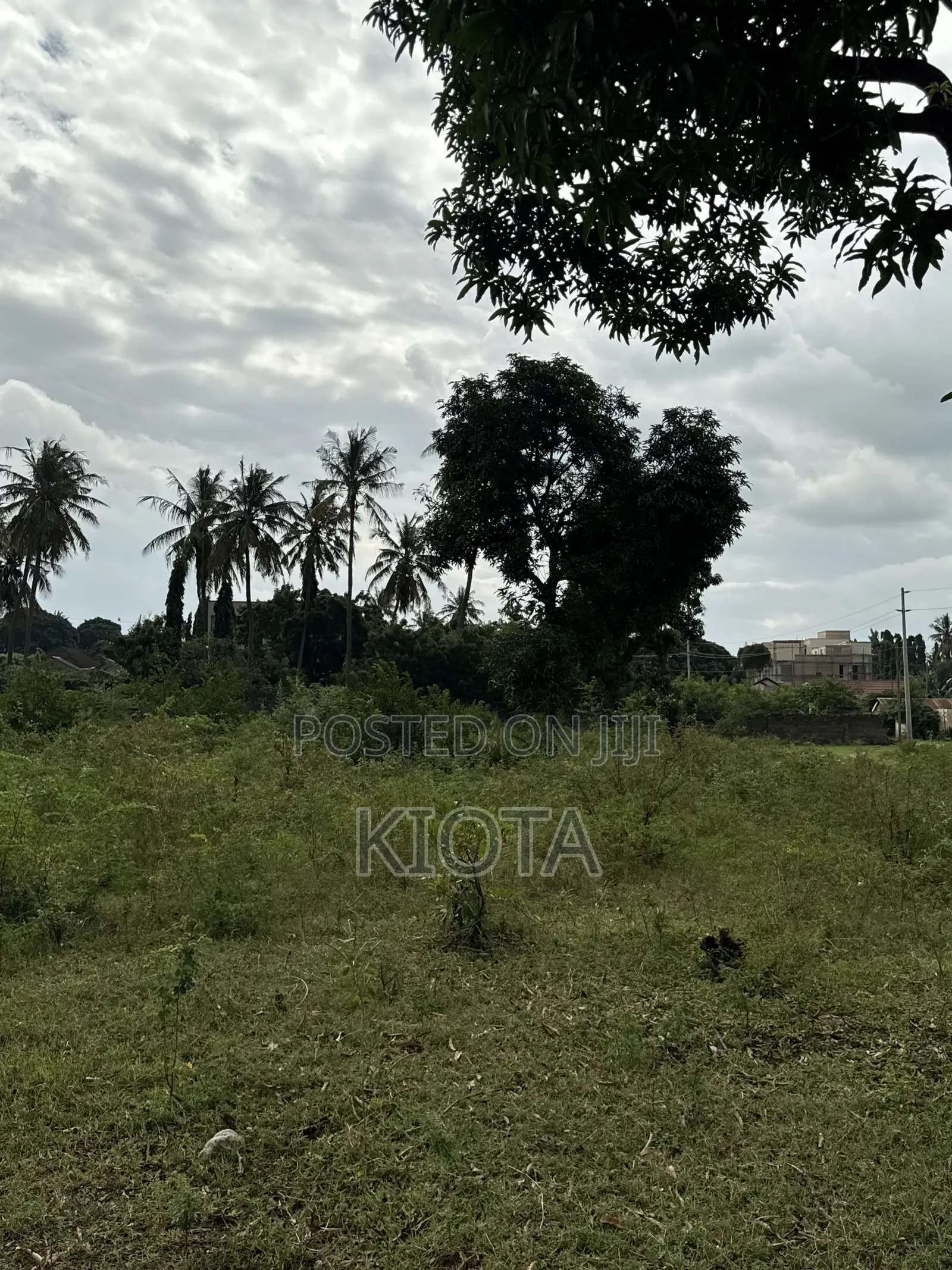 Mbezi Beach Rafia