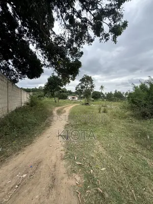 Mbezi Beach Rafia