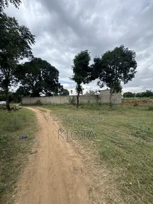 Mbezi Beach Rafia