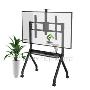 Flat Panel Display Smart Board Mobile TV Stand Presentation 55"To 100"