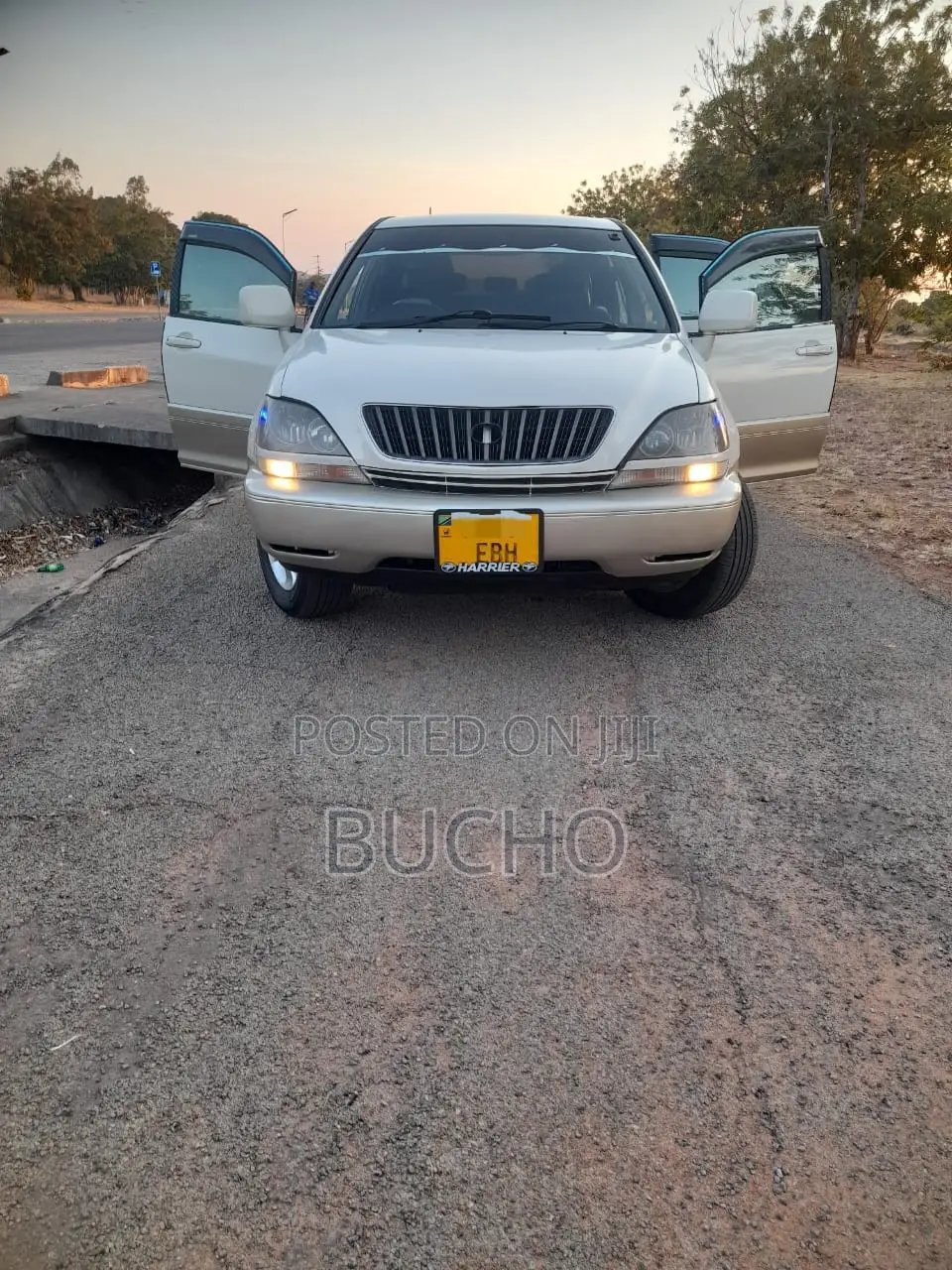 Toyota Harrier 2003 White