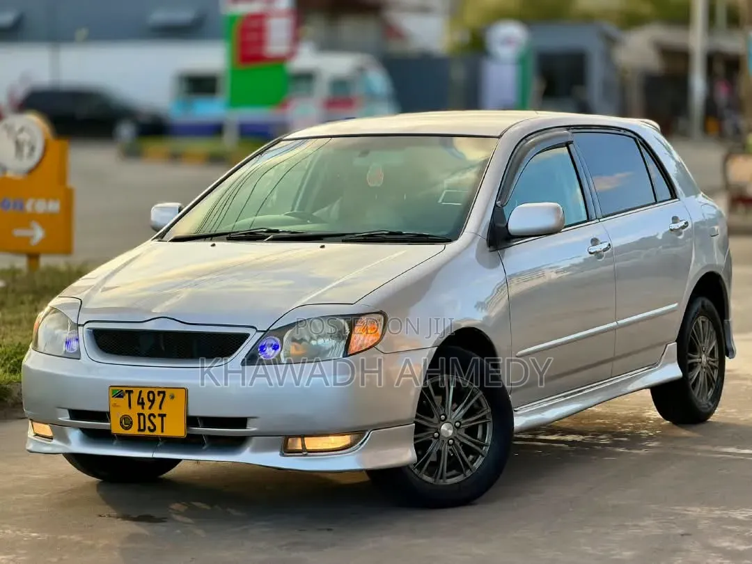 Toyota Allex 2002 Silver