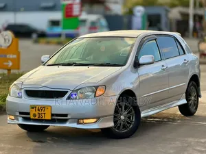 Toyota Allex 2002 Silver