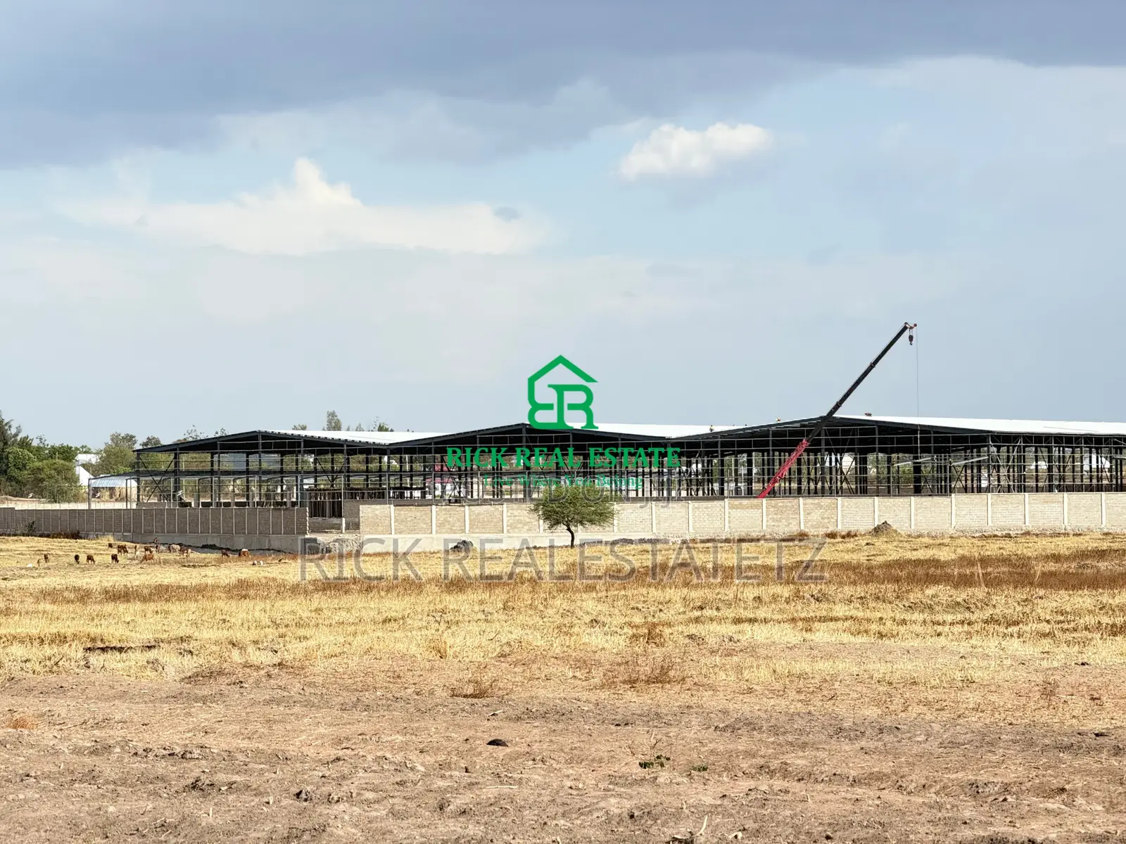 Eneo La Heka Mbili (2) Linauzwa Kisesa - Mkoroshoni
