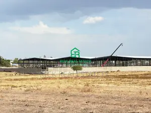 Eneo La Heka Mbili (2) Linauzwa Kisesa - Mkoroshoni