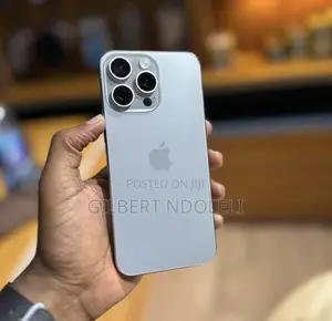 Apple iPhone 15 Pro Max 256 GB Gray