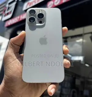 Apple iPhone 15 Pro Max 256 GB Gray