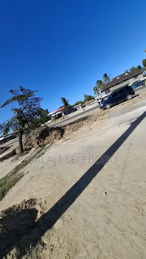 Bar and Restaurant Liquid Store Semi Furnished at Tegeta Namanga