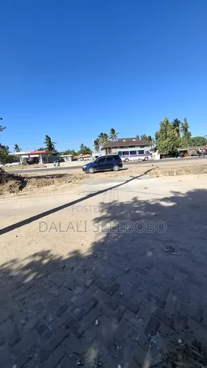 Bar and Restaurant Liquid Store Semi Furnished at Tegeta Namanga