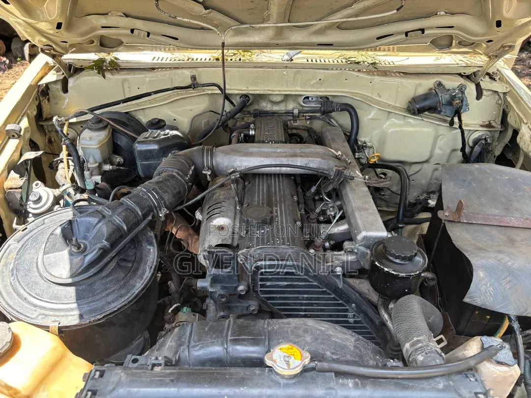 Toyota Land Cruiser 76 Series 2009 Beige