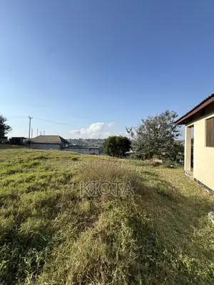 Mbezi Magufuli Commercial Plot