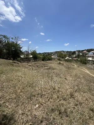 Salasala Mwisho Wa Lami