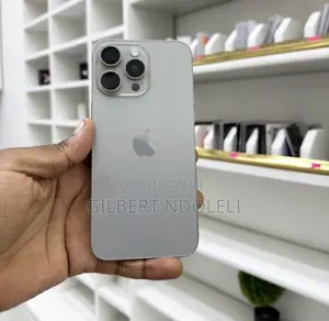 Apple iPhone 15 Pro Max 256 GB Gray