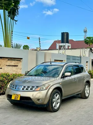 Nissan Murano 2005 Gold