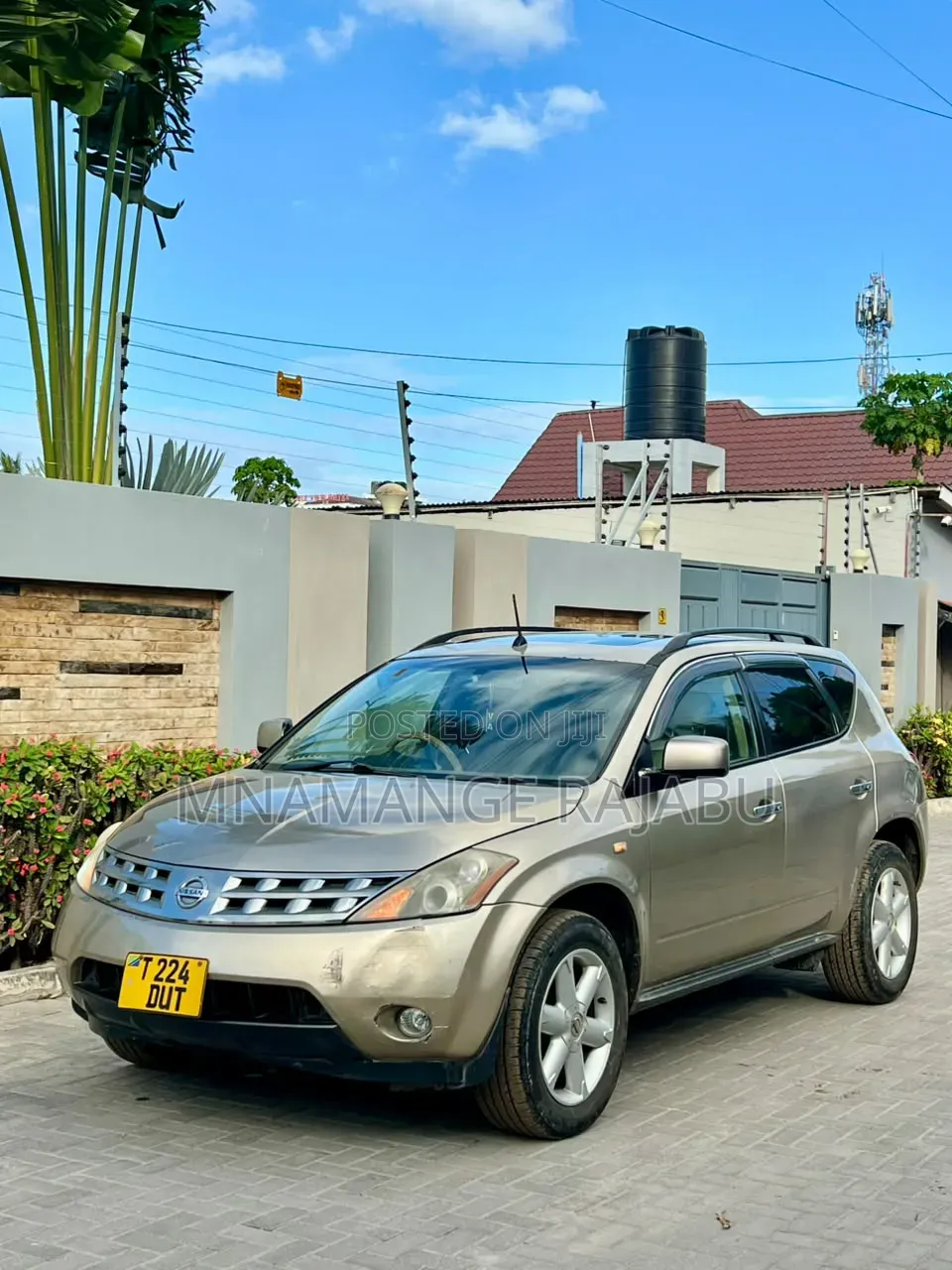 Nissan Murano 2005 Gold