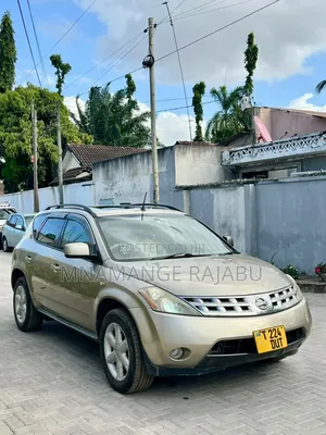Nissan Murano 2005 Gold