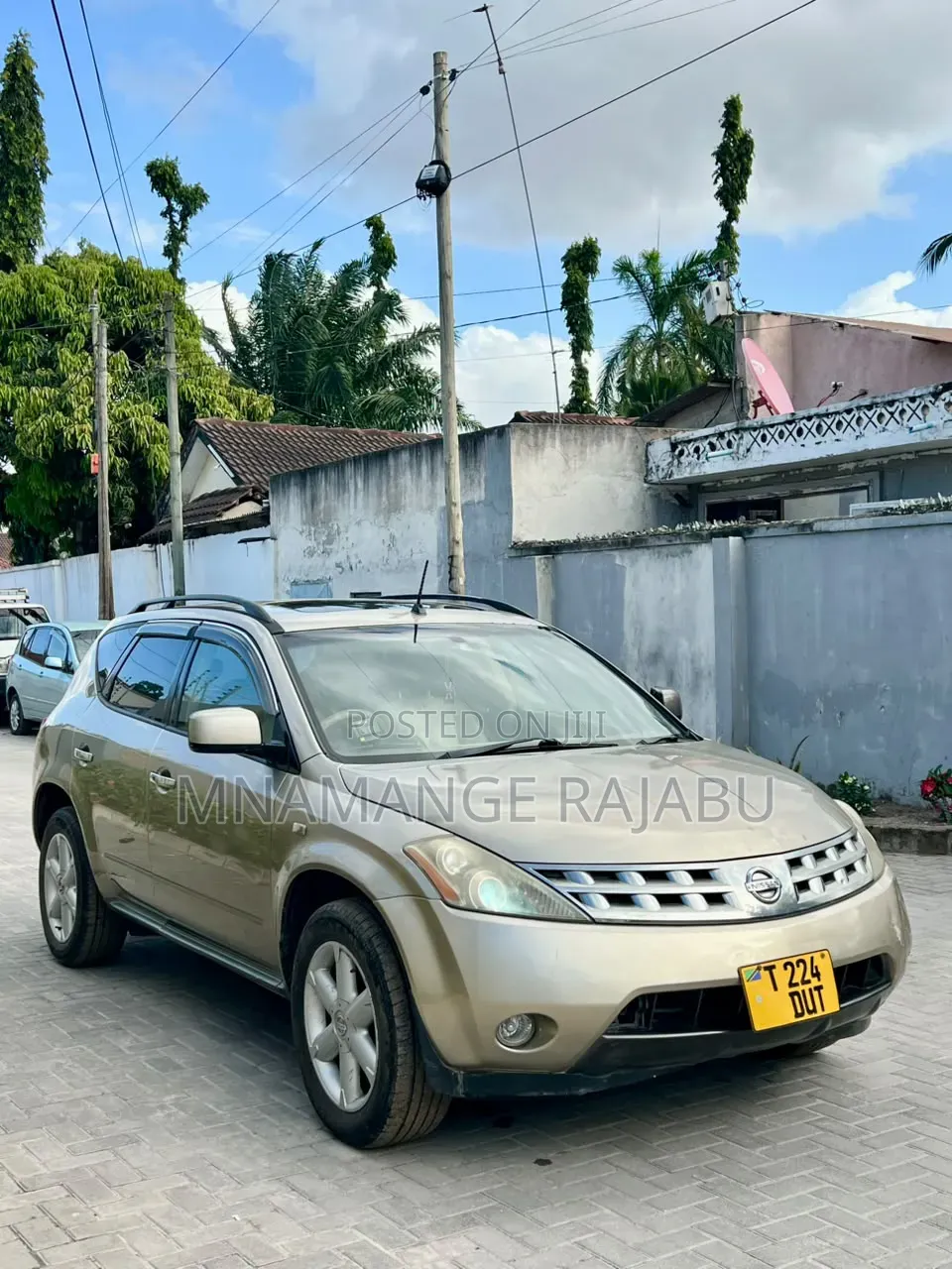 Nissan Murano 2005 Gold