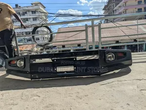 Toyota Bull Bar