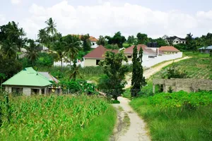 Miliki Kiwanja KIBAMBA GOGONI