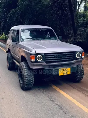 Toyota Land Cruiser Wagon 1983 Pink