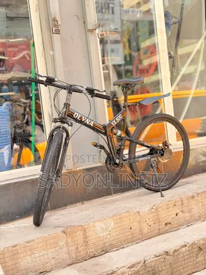 Olvina Folding Bicycle