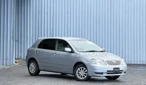 Toyota Allex 2002 Silver