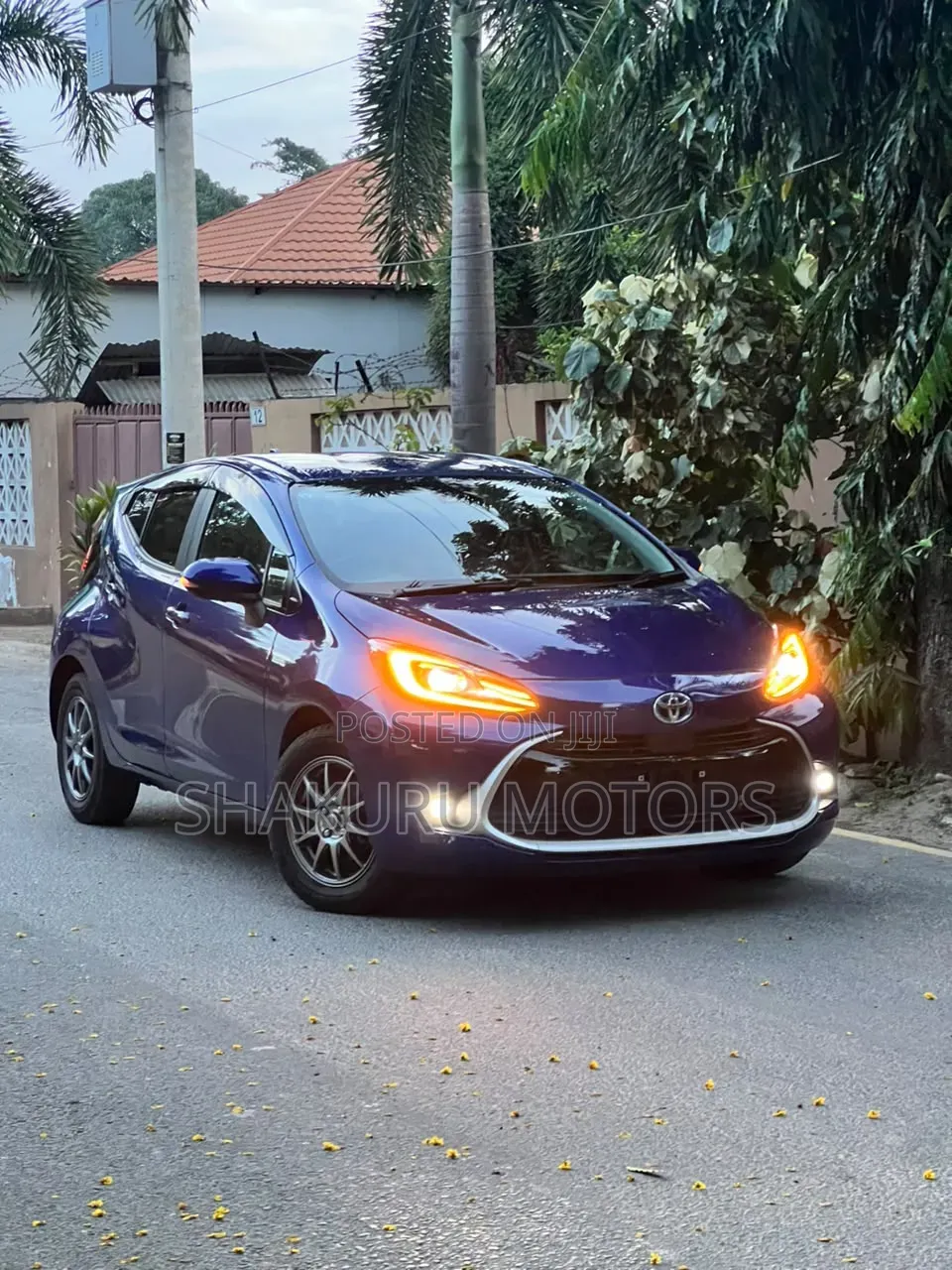 Toyota Aqua 2023 Blue