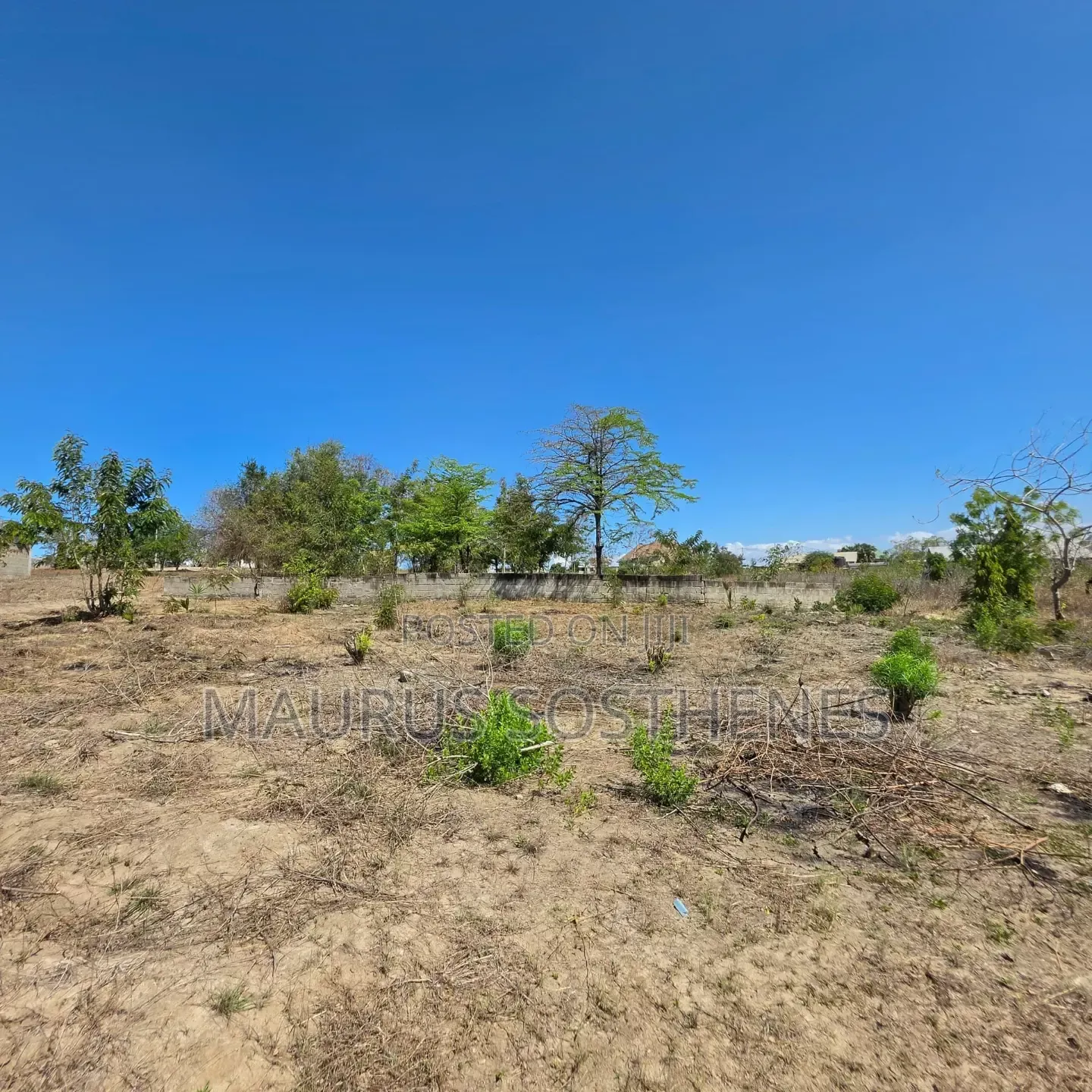 Plot for Sale