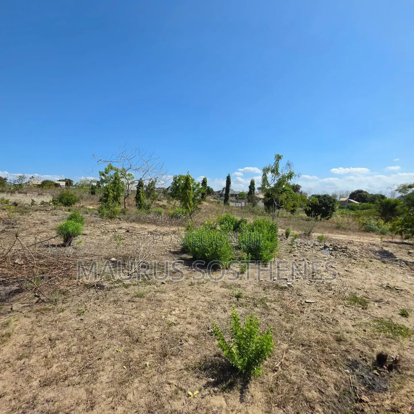 Plot for Sale