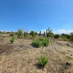 Plot for Sale