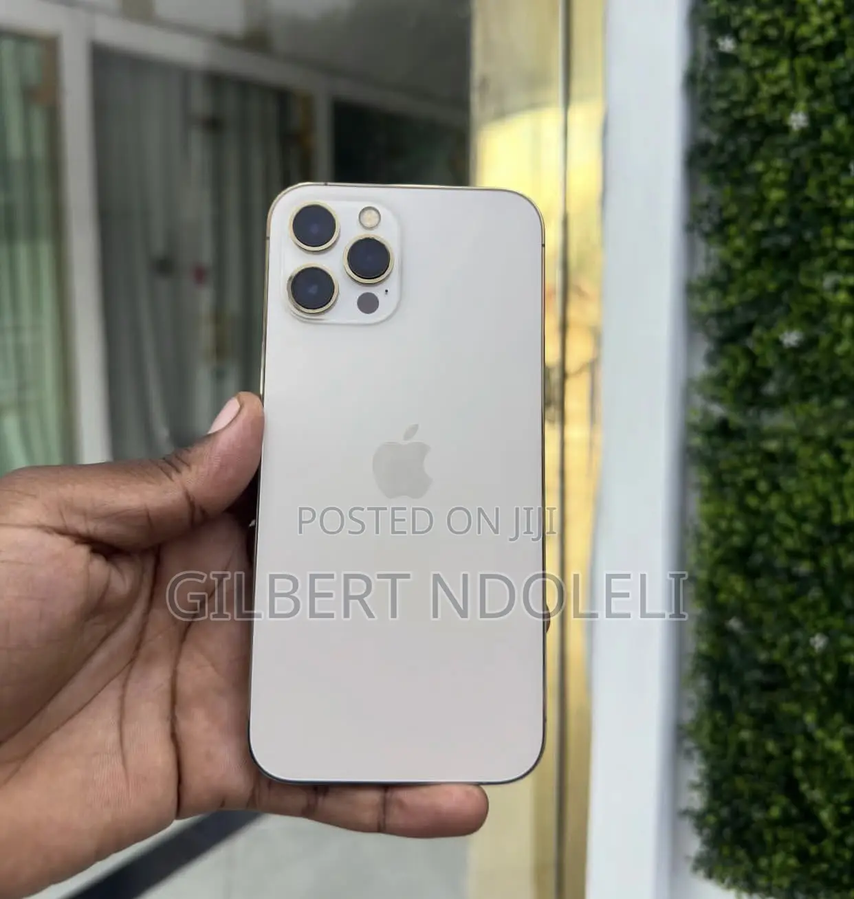 Apple iPhone 12 Pro Max 128 GB Gold