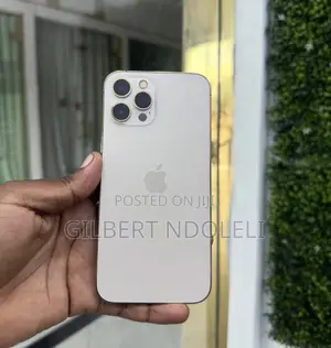Apple iPhone 12 Pro Max 128 GB Gold